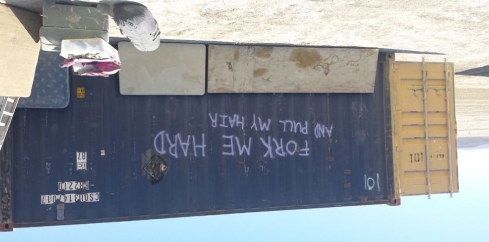 Conteneur du DPW (soulevé par un forklift) avec l’inscription d’un jeu de mots à double sens, sexuel et technique : « Fork me hard and pull my hair ». Photo : F